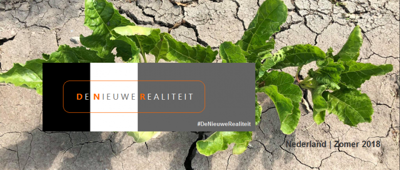 Banner Zomer 2018 De Nieuwe Realiteit Orange Monday def1